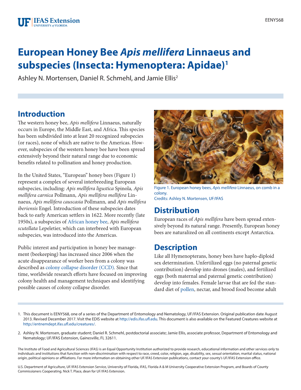 European Honey Bee Apis Mellifera Linnaeus and Subspecies (Insecta: Hymenoptera: Apidae)1 Ashley N