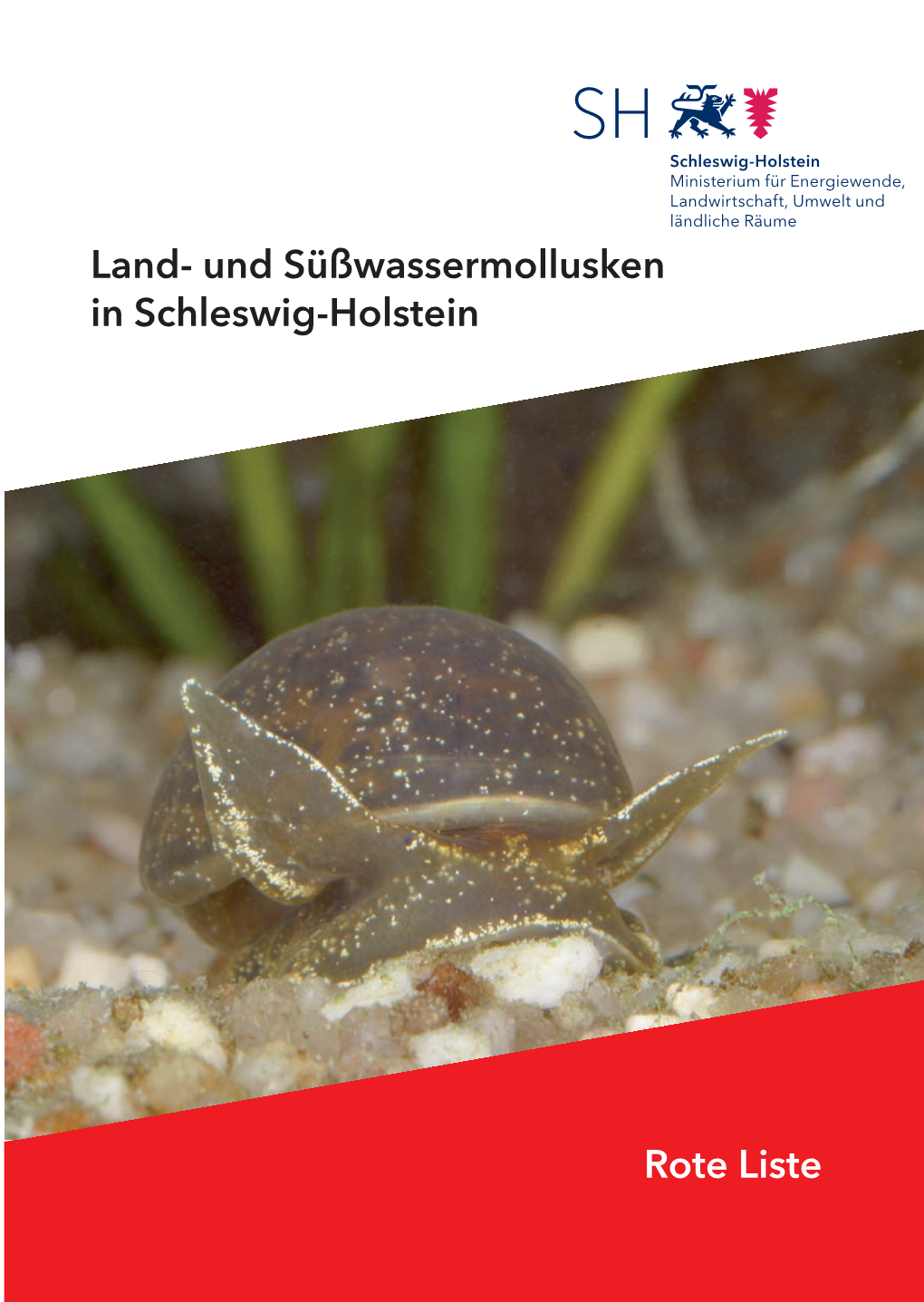 Und Süßwassermollusken in Schleswig-Holstein