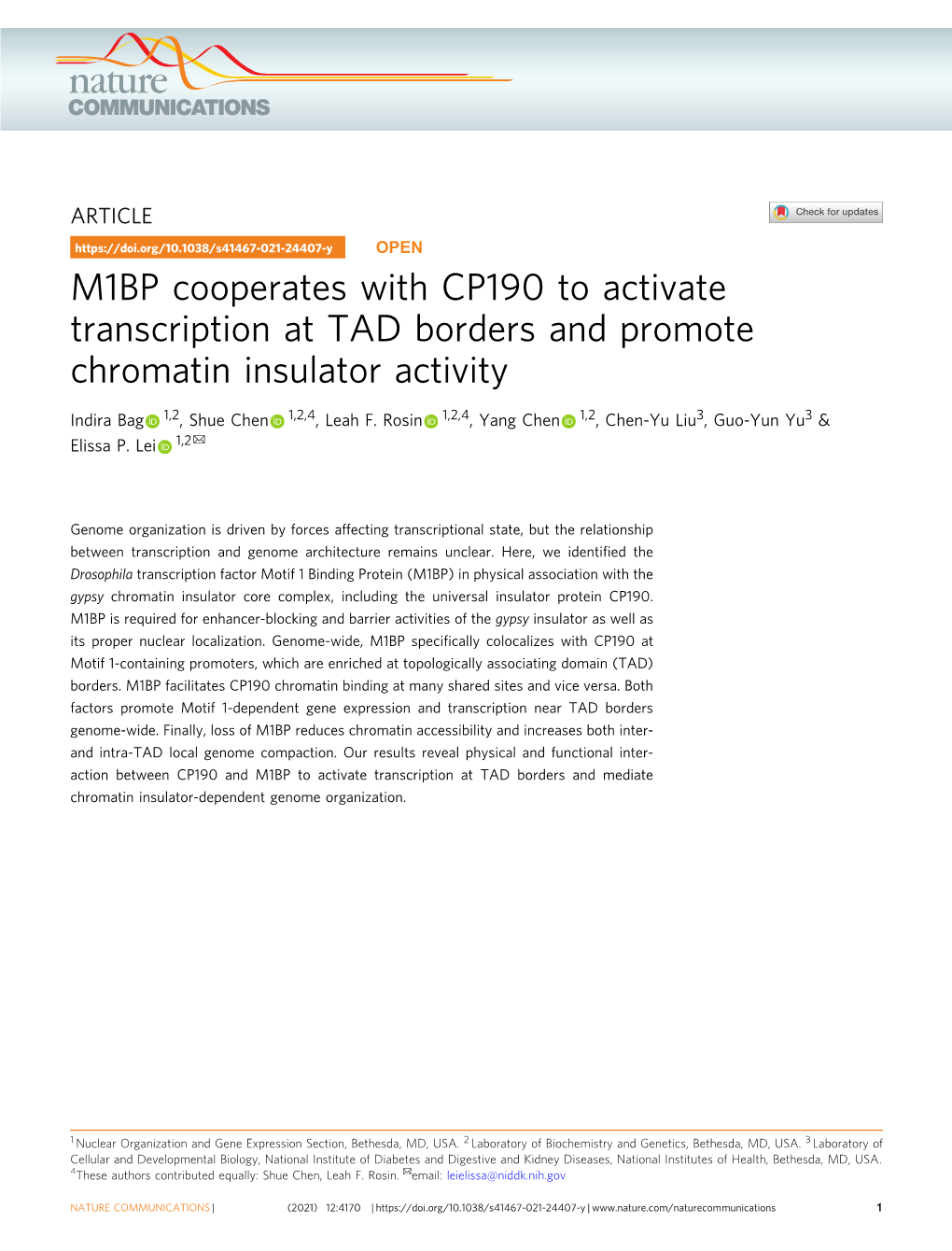 M1BP Cooperates with CP190 to Activate Transcription at TAD Borders and Promote Chromatin Insulator Activity