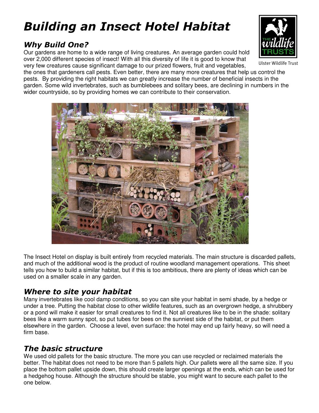 Building an Insect Hotel Habitat