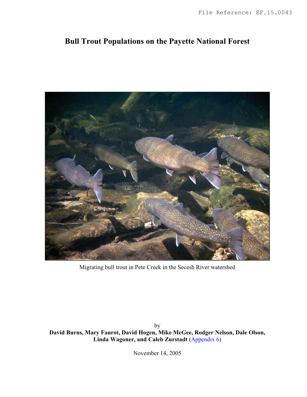 2005 Bull Trout Populations on the Payette National Forest