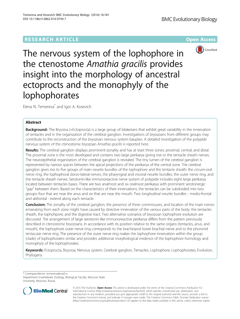 The Nervous System of the Lophophore in the Ctenostome Amathia Gracilis