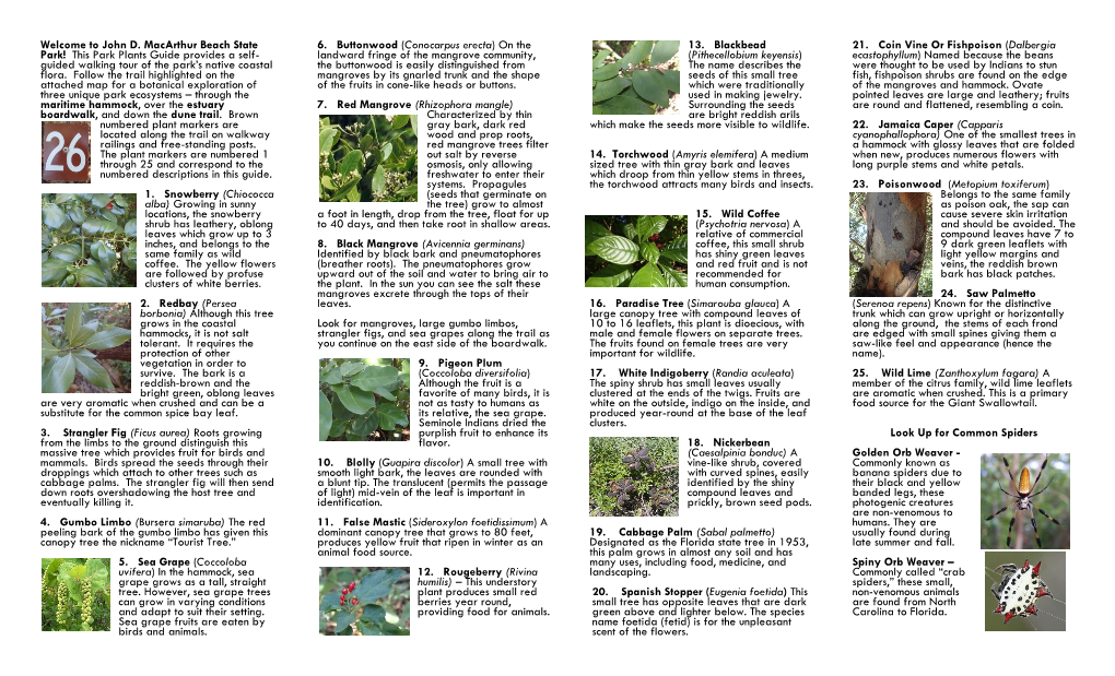 Welcome to John D. Macarthur Beach State Park! This Park Plants Guide