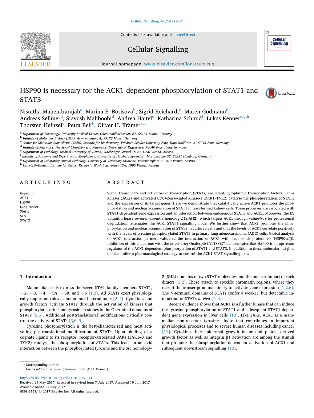 HSP90 Is Necessary for the ACK1-Dependent Phosphorylation of STAT1 and MARK STAT3