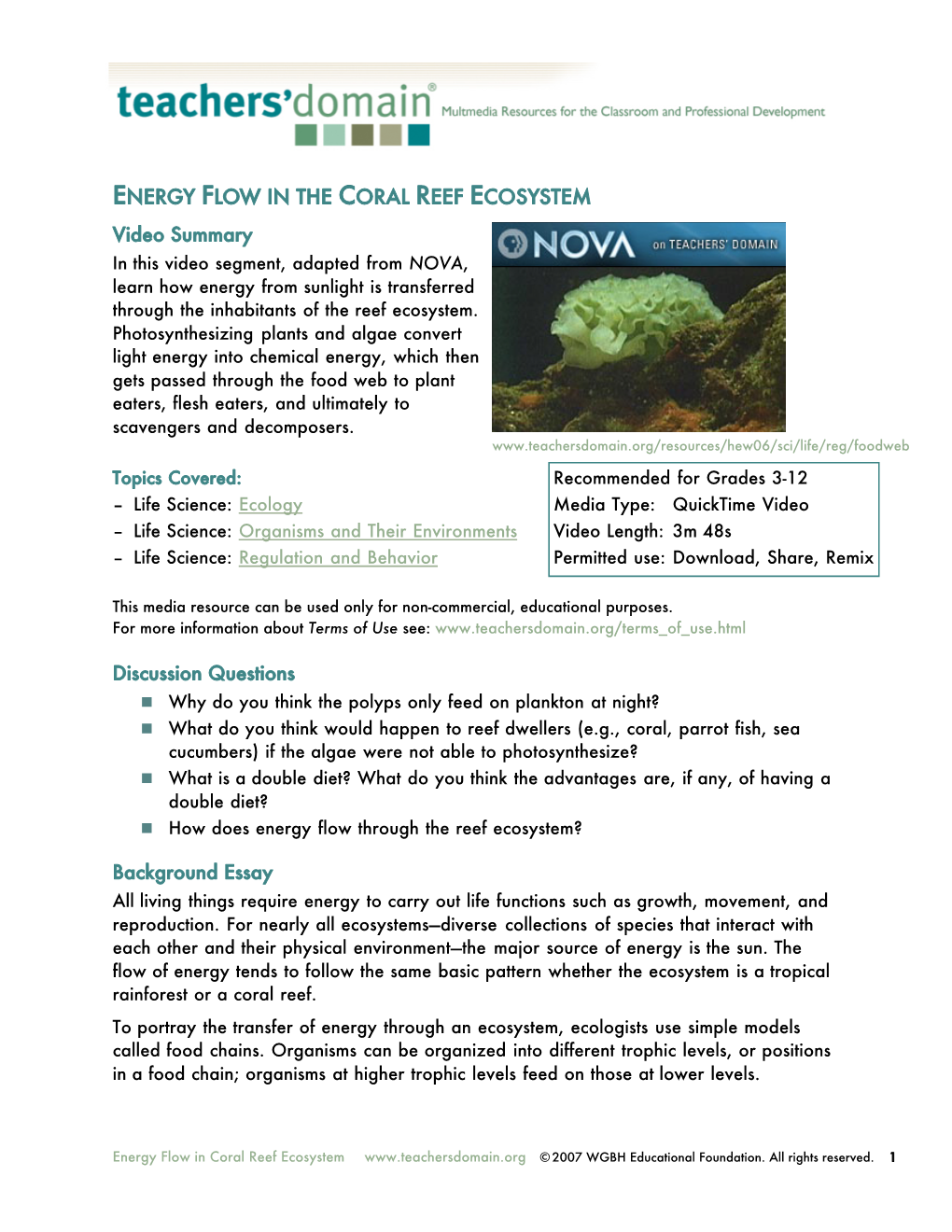 Energy Flow in the Coral Reef Ecosystem