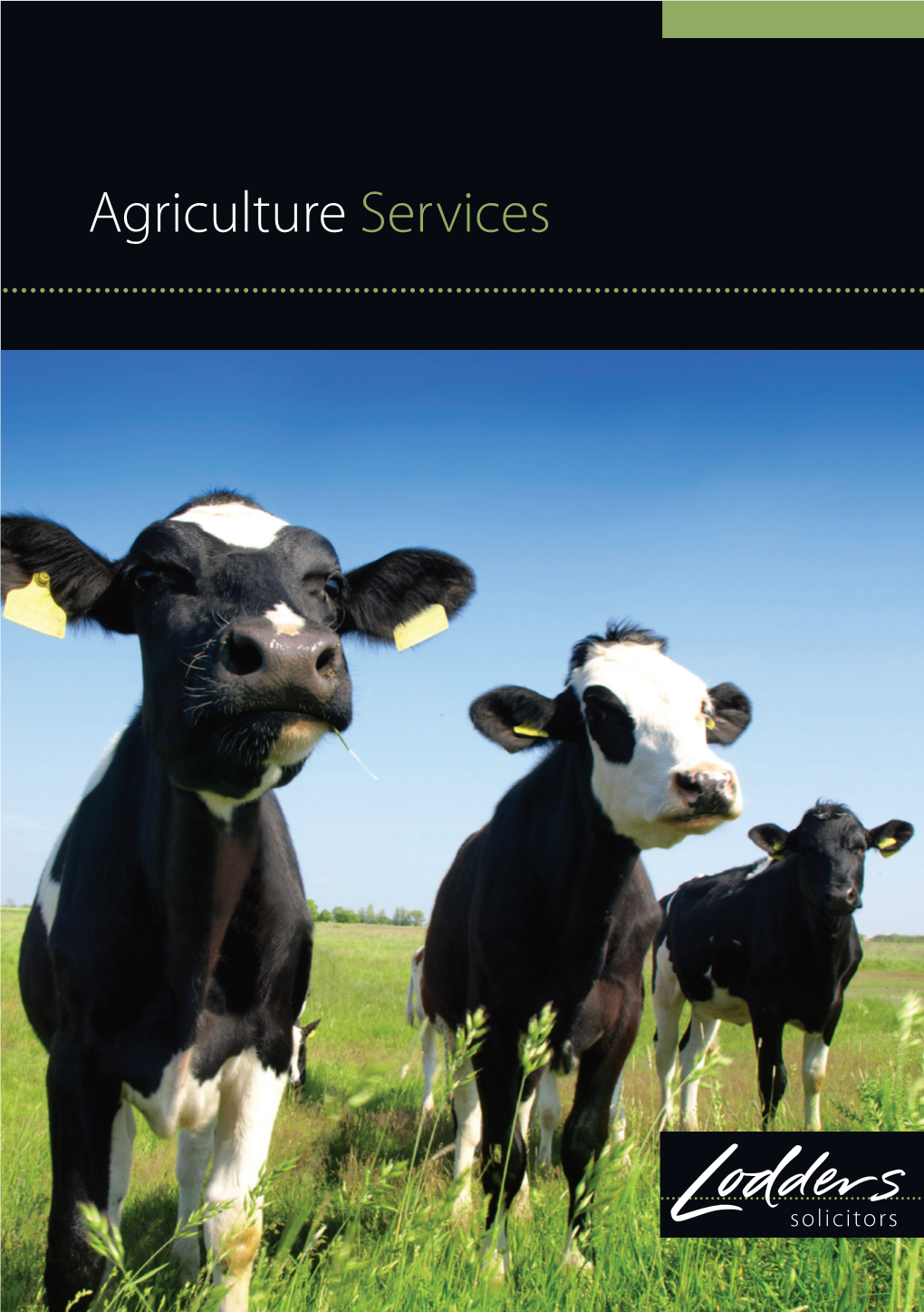 Agriculture Law Brochure