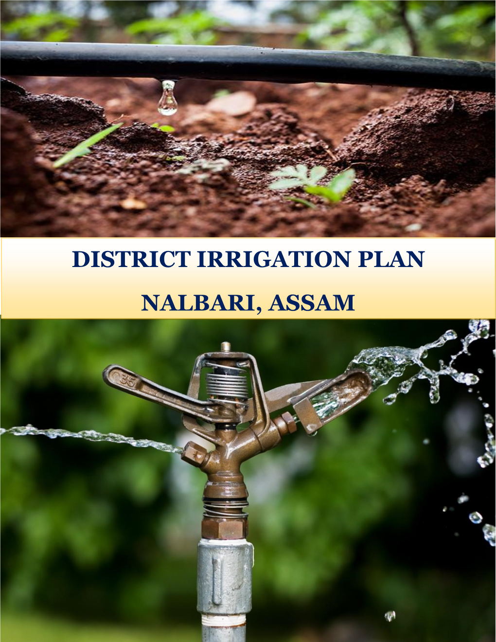District Irrigation Plan, Nalbari.Pdf