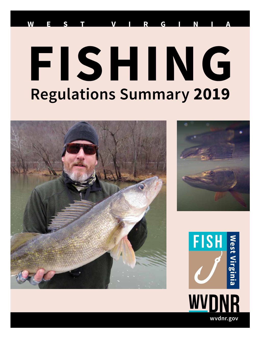 Regulations Summary 2019