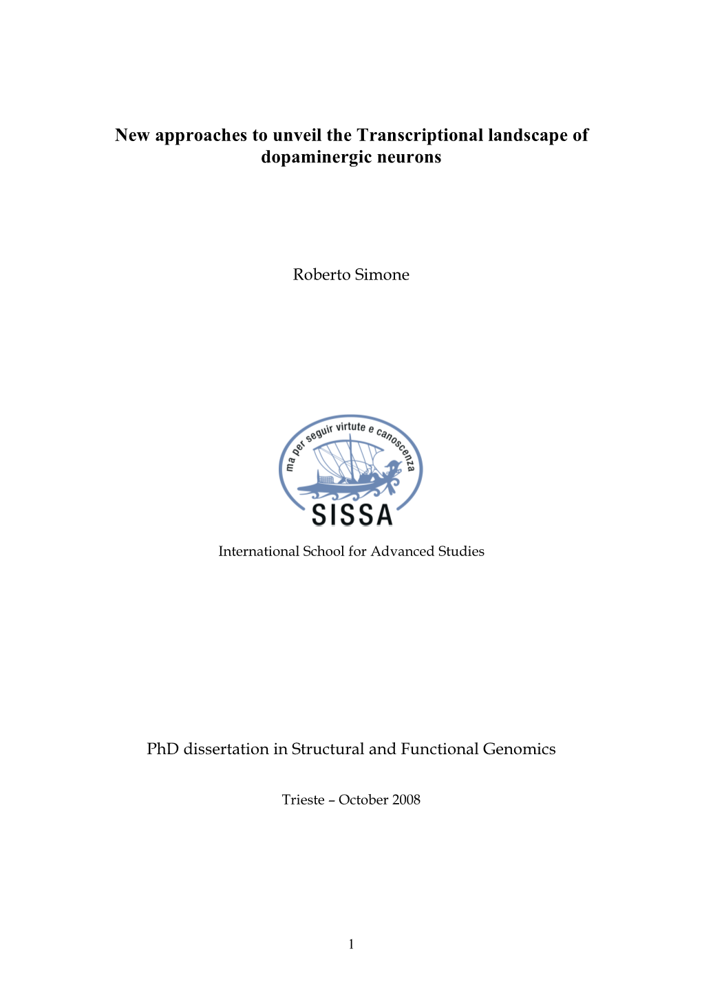 Roberto Simone Phd Thesis 2008