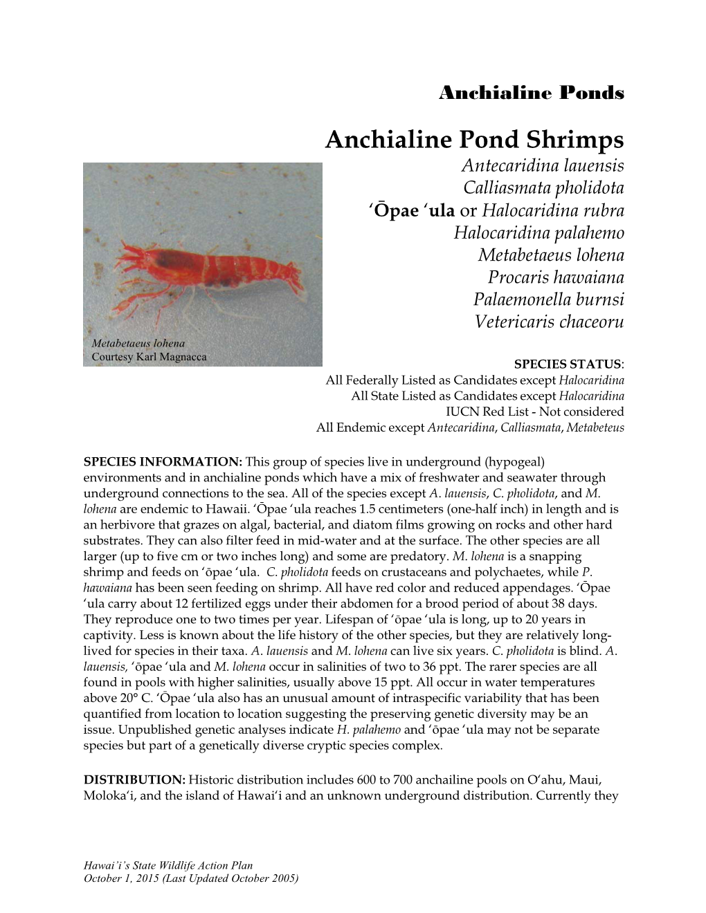 Anchialine Shrimps in the Waikolao Area Has Been Constant, Except for Increases in ‘Ōpae ‘Ula Abundance Since 1996