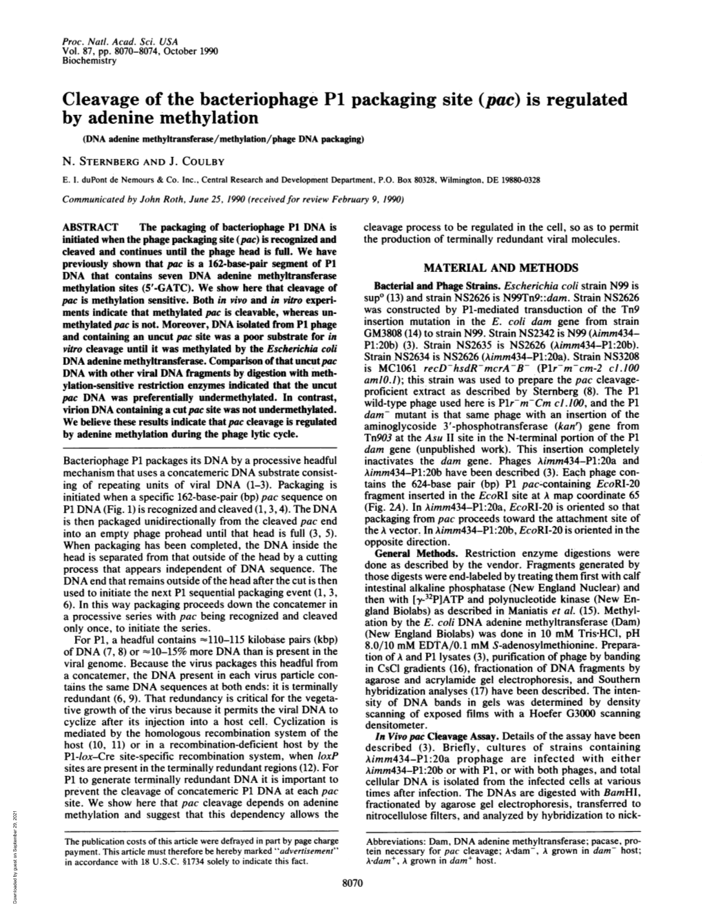 Cleavage of the Bacteriophage P1 Packaging Site (Pac) Is Regulated by Adenine Methylation (DNA Adenine Methyltransferase/Methylation/Phage DNA Packaging) N