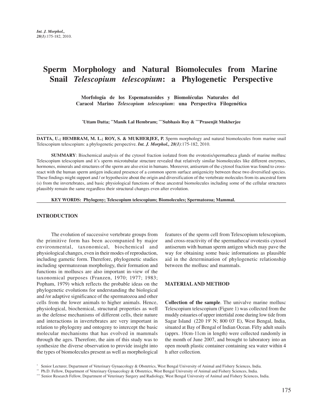 A Phylogenetic Perspective