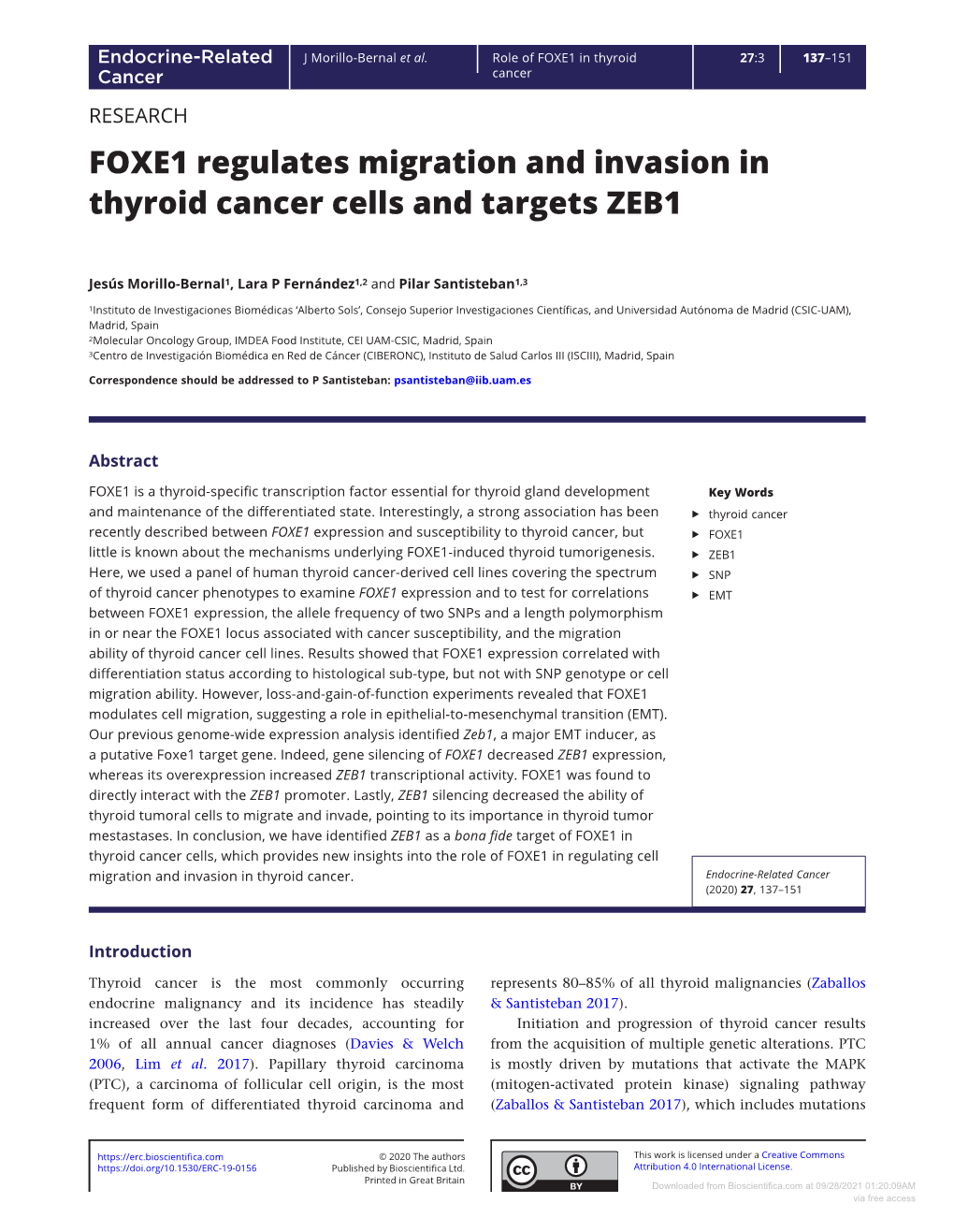 FOXE1 Regulates Migration and Invasion in Thyroid Cancer Cells and Targets ZEB1