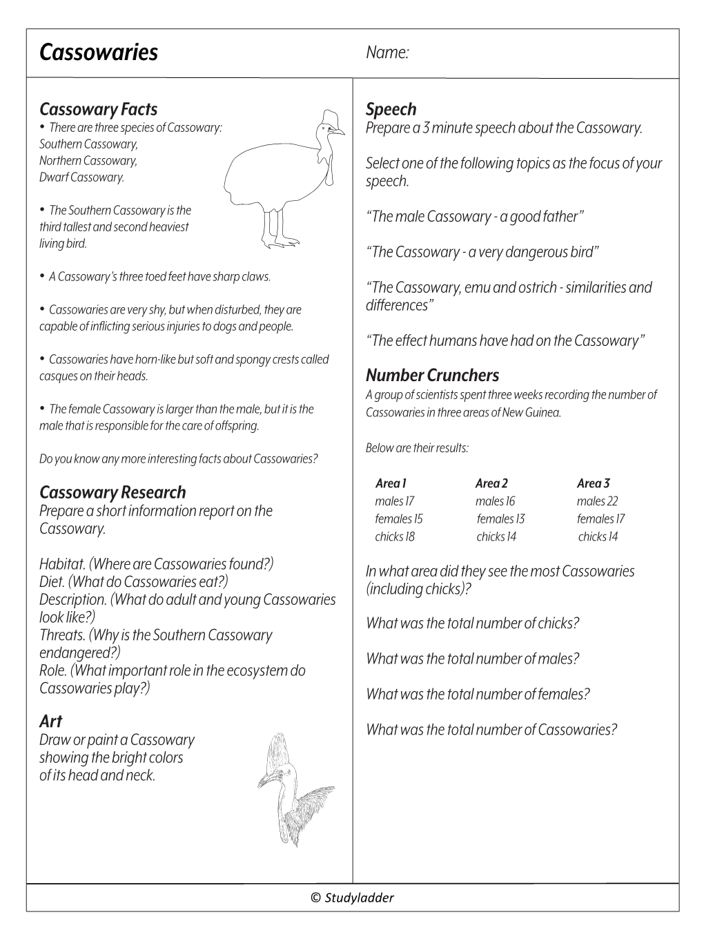 Cassowaries V2