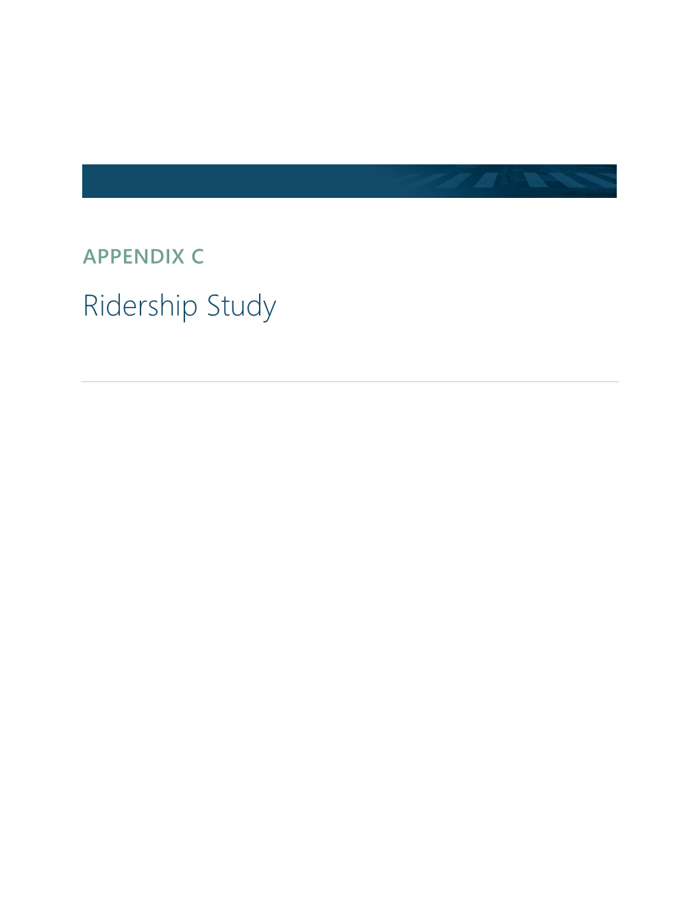 APPENDIX C Ridership Study