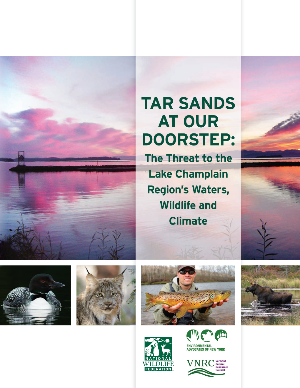 TAR SANDS at OUR DOORSTEP: the Threat to the Lake Champlain Region’S Waters, Wildlife and Climate ACKNOWLEDGMENTS