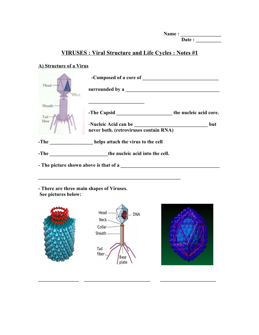 Viral Structure and Life Cycles : Notes