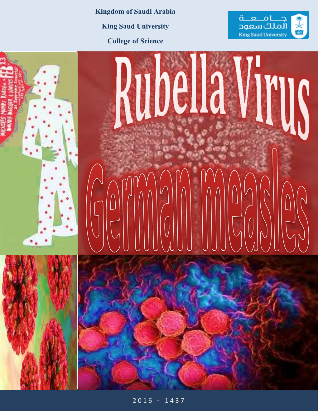 Rubella Virus