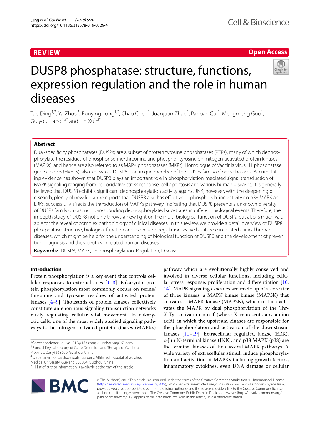 DUSP8 Phosphatase: Structure, Functions, Expression Regulation