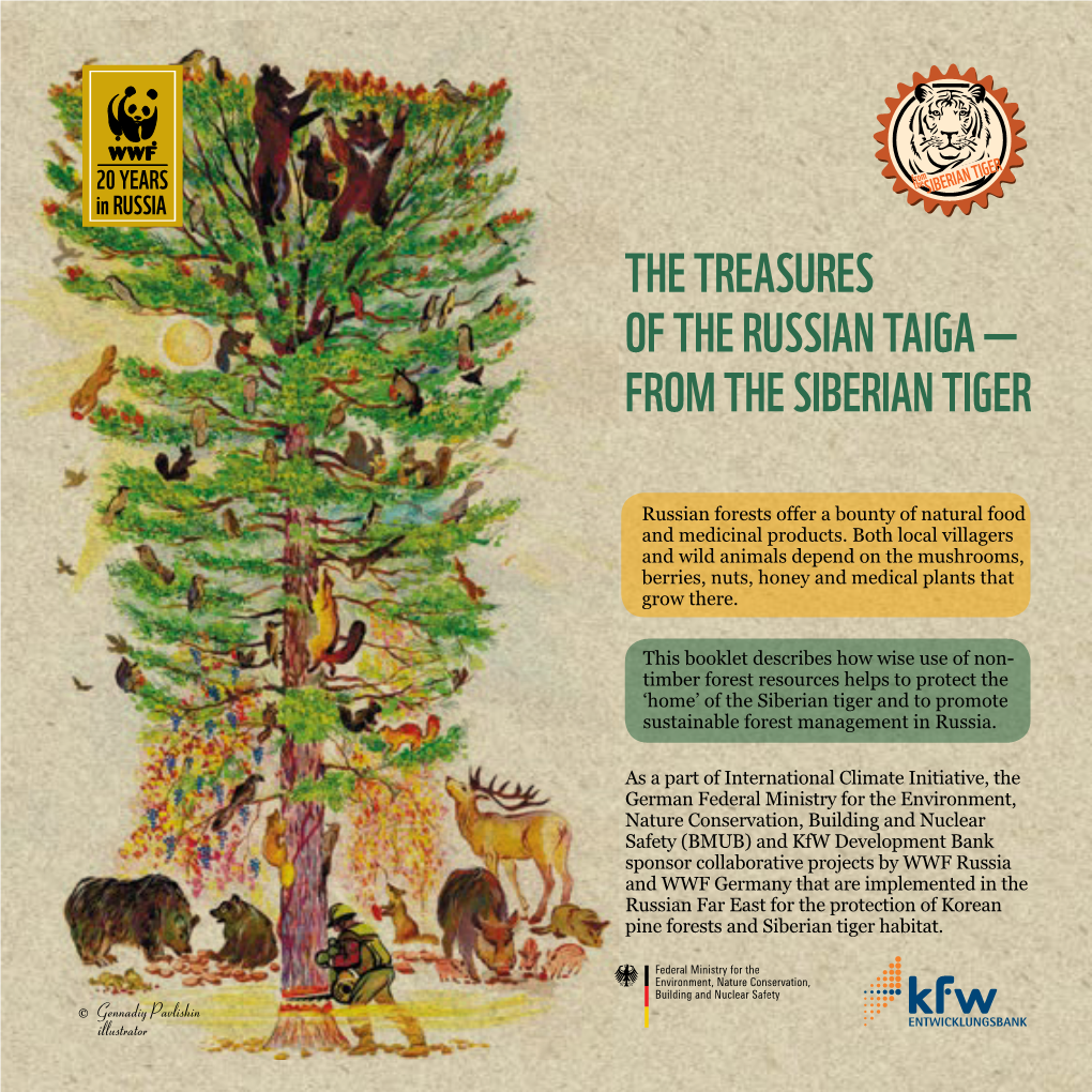 The Treasures of the Russian Taiga — from the Siberian Tiger