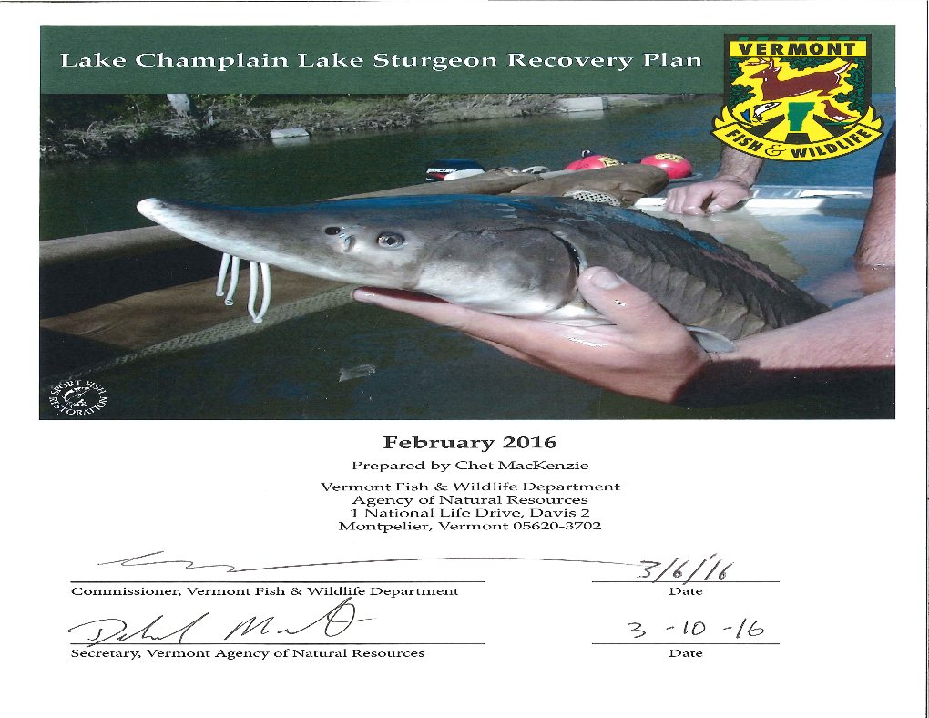 Lake Champlain Lake Sturgeon Recovery Plan