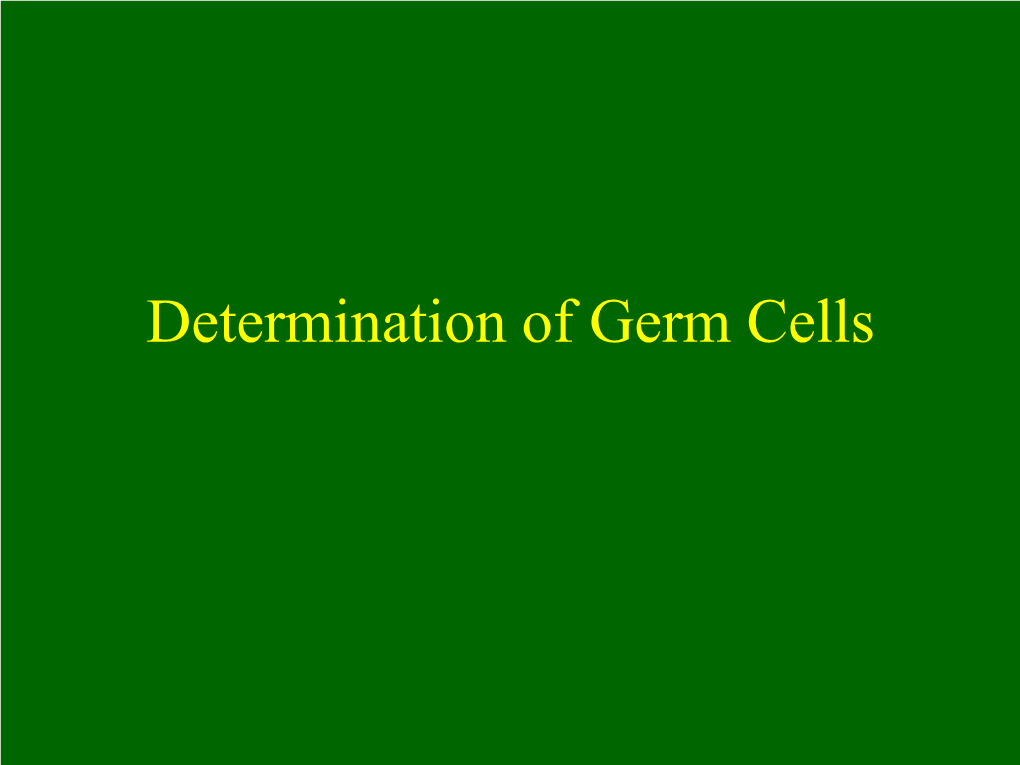 Primordial Germ Cells