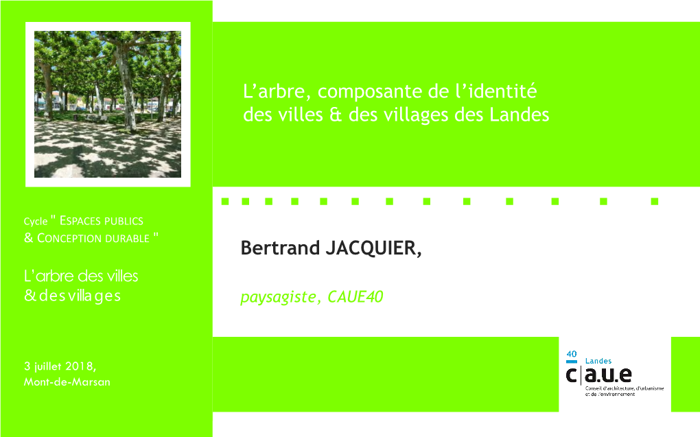 L'arbre, Composante De L'identité Des Villes Et Villages Des Landes