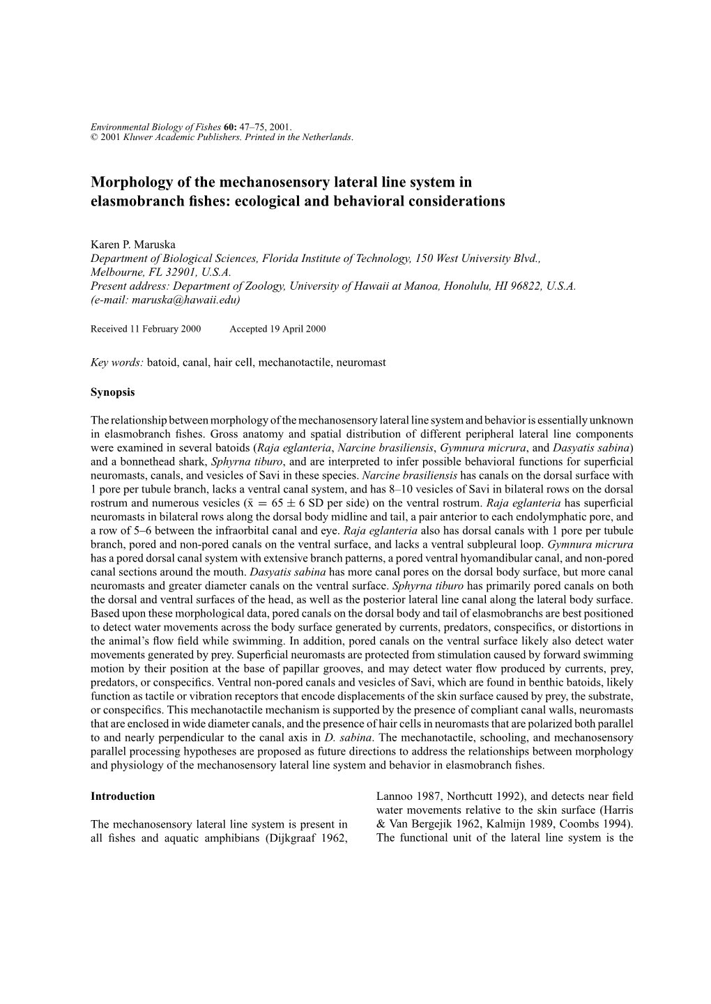 Morphology of the Mechanosensory Lateral Line System in Elasmobranch ﬁshes: Ecological and Behavioral Considerations