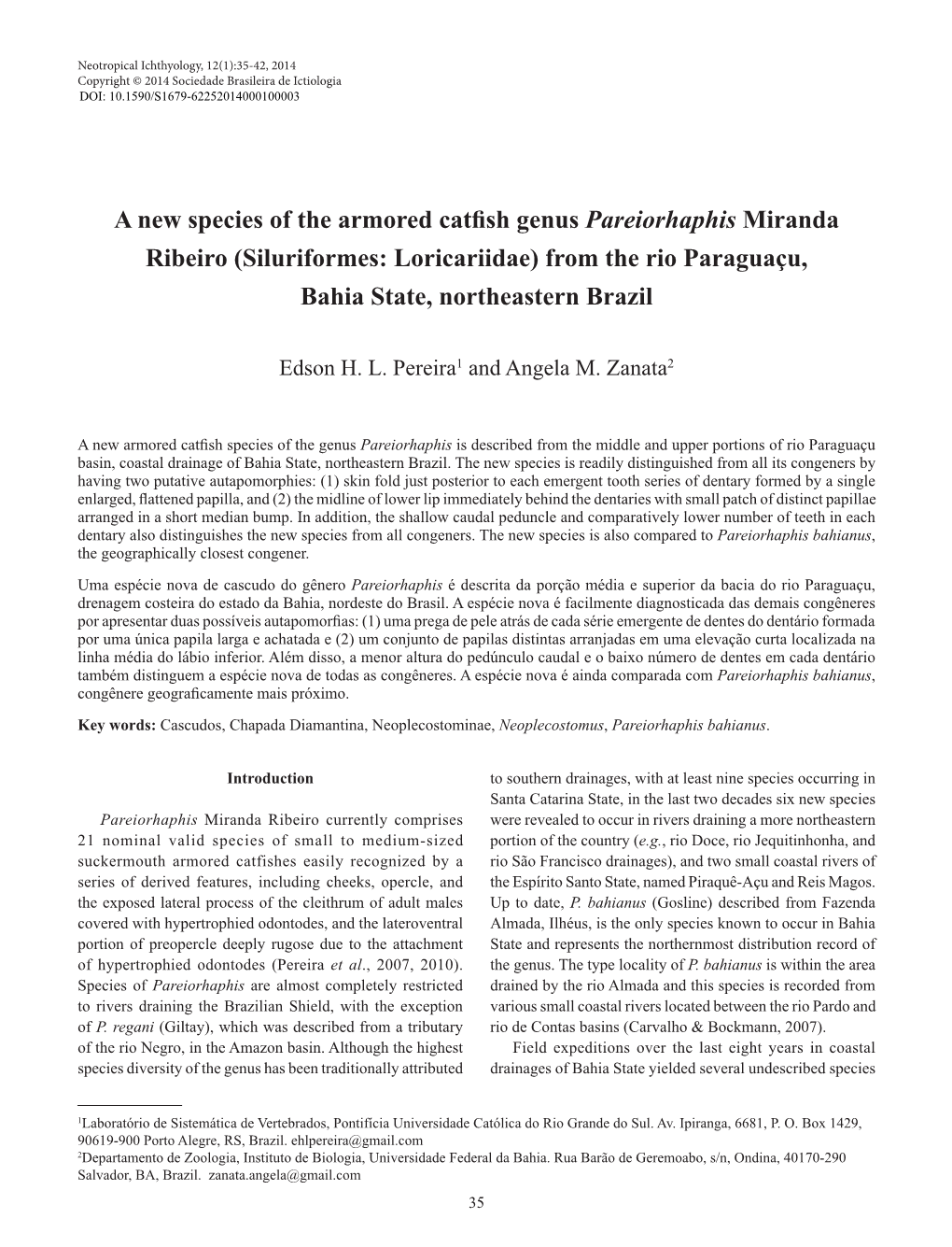 A New Species of the Armored Catfish Genus Pareiorhaphis Miranda Ribeiro (Siluriformes: Loricariidae) from the Rio Paraguaçu, Bahia State, Northeastern Brazil