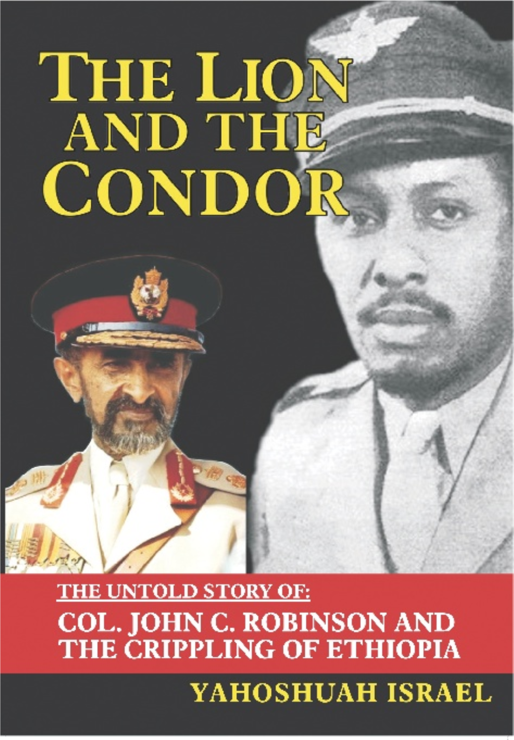 The Untold Story of Col. John C. Robinson and the Crippling of Ethiopia