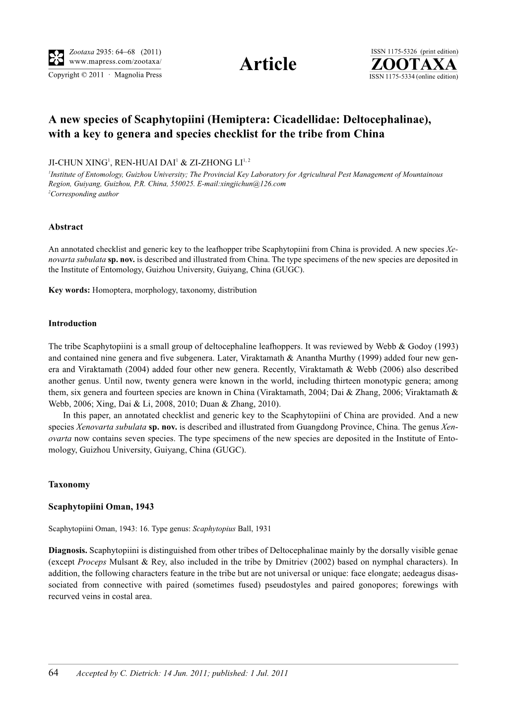 A New Species of Scaphytopiini (Hemiptera: Cicadellidae: Deltocephalinae), with a Key to Genera and Species Checklist for the Tribe from China