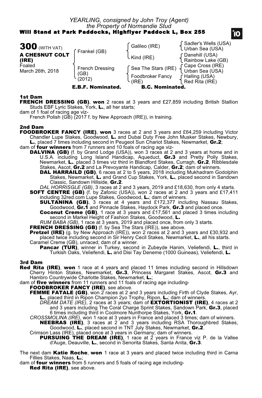 YEARLING, Consigned by John Troy (Agent) the Property of Normandie Stud Will Stand at Park Paddocks, Highflyer Paddock L, Box 255