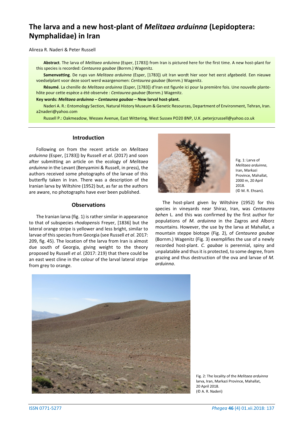 The Larva and a New Host-Plant of Melitaea Arduinna (Lepidoptera: Nymphalidae) in Iran