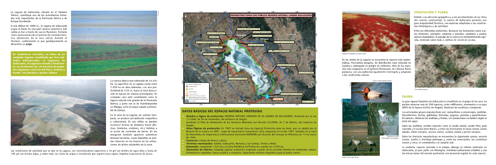 Triptico GALLOCANTA 2016.Qxp Triptico GALLOCANTA 28/09/16 14:05 Página 1