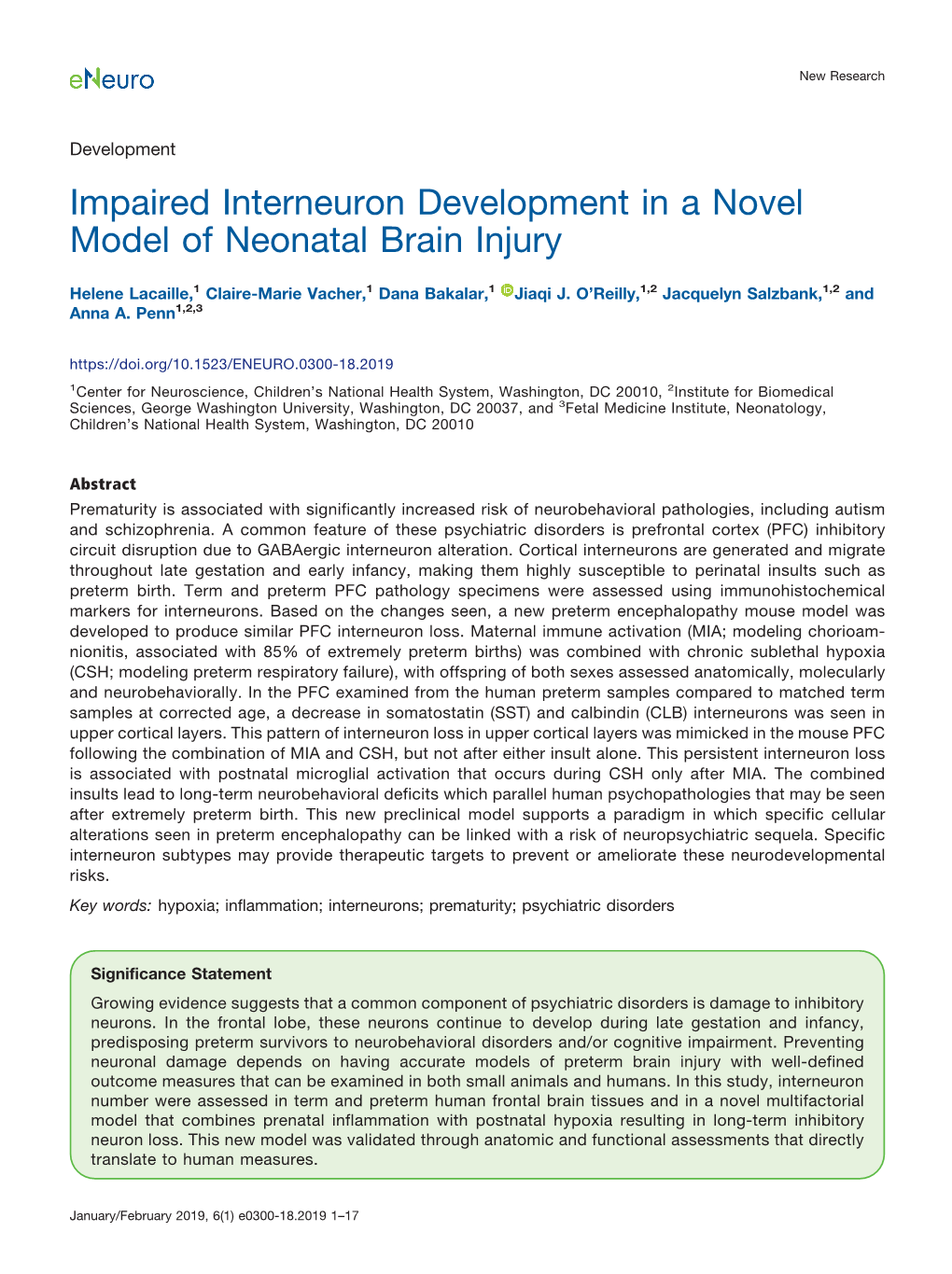 Impaired Interneuron Development in a Novel Model of Neonatal Brain Injury