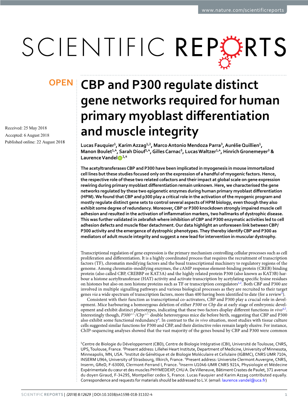 CBP and P300 Regulate Distinct Gene Networks Required for Human