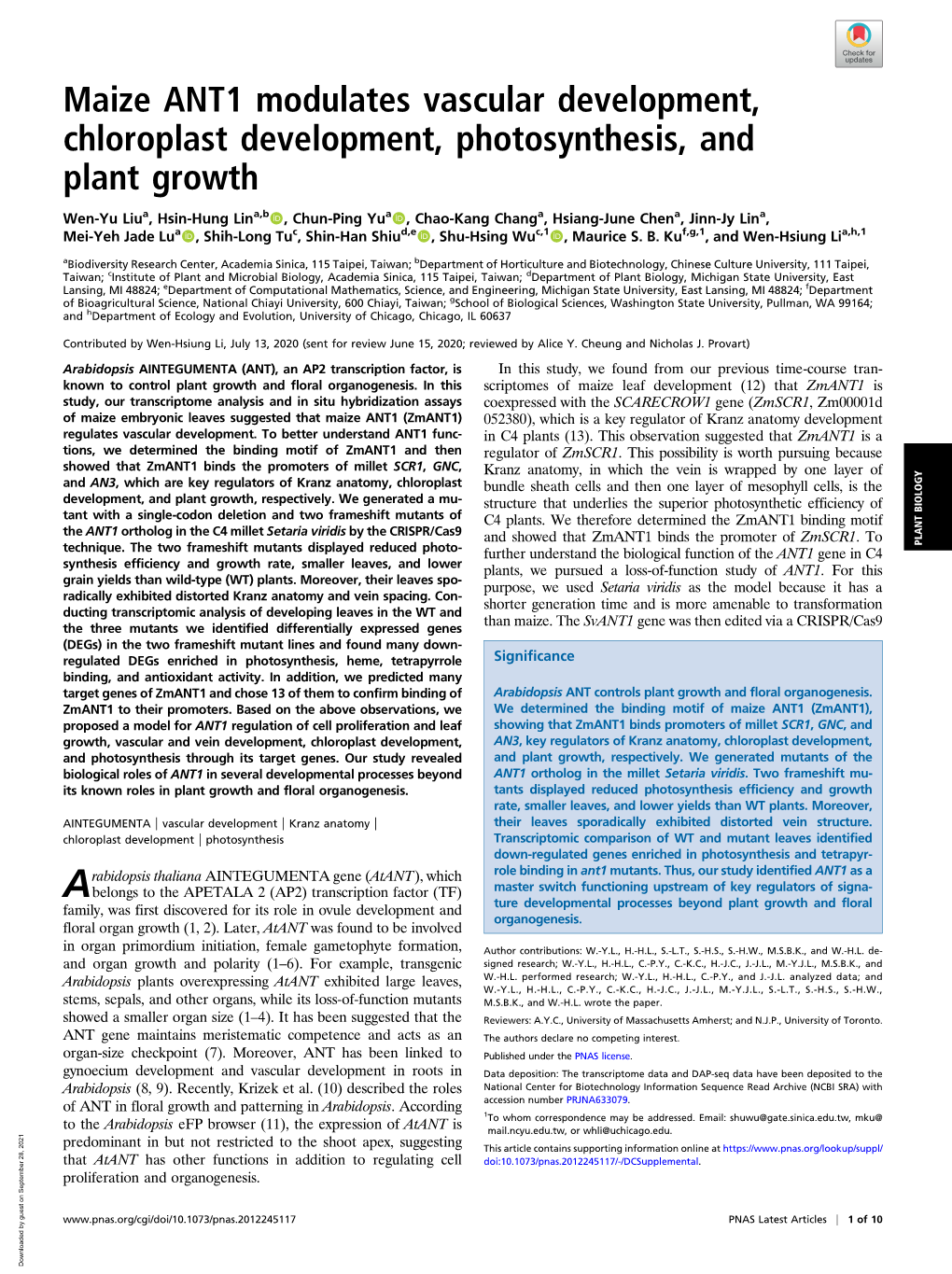 Maize ANT1 Modulates Vascular Development, Chloroplast Development, Photosynthesis, and Plant Growth