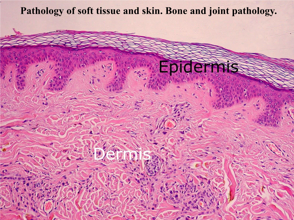 Pathology of Soft Tissue and Skin. Bone and Joint Pathology. Pathology of Soft Tissue and Skin