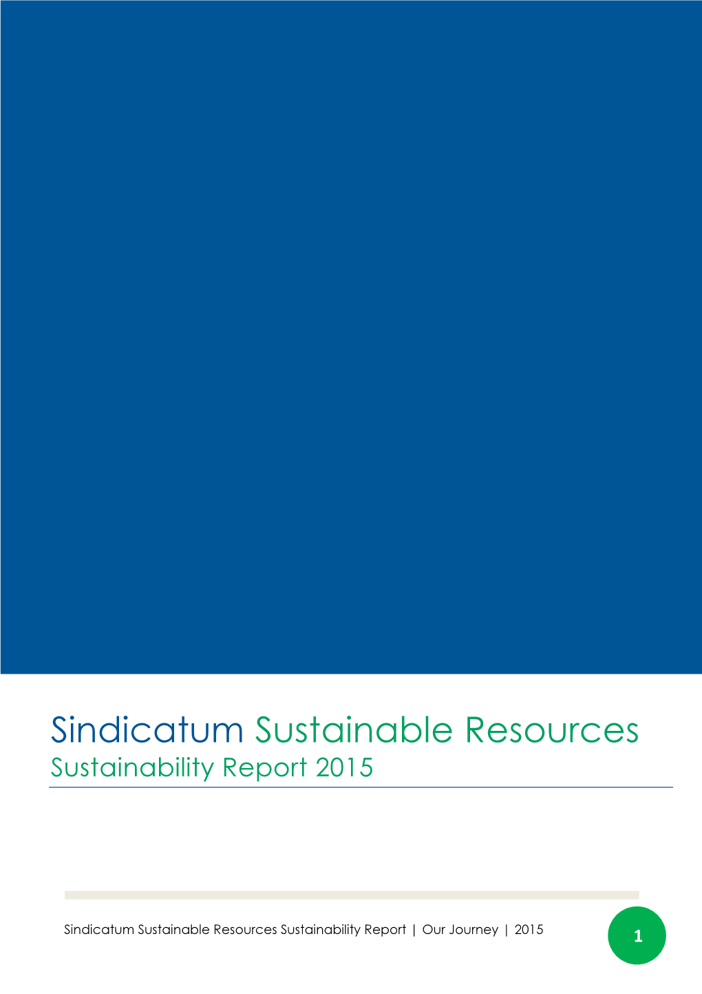 Sindicatum Sustainable Resources Sustainability Report 2015