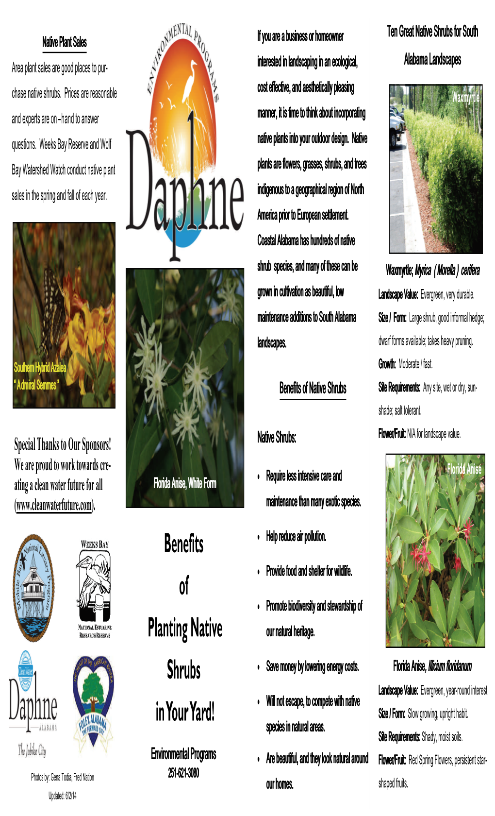 Appendix J-Brochure the 10 Best Native Shrubs