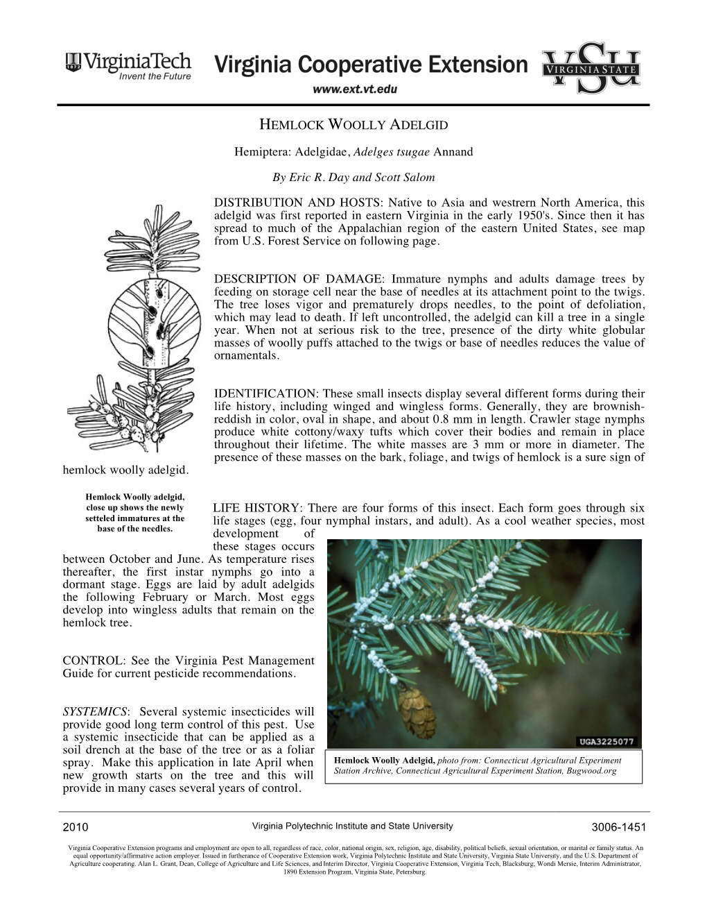 HEMLOCK WOOLLY ADELGID Hemiptera: Adelgidae, Adelges