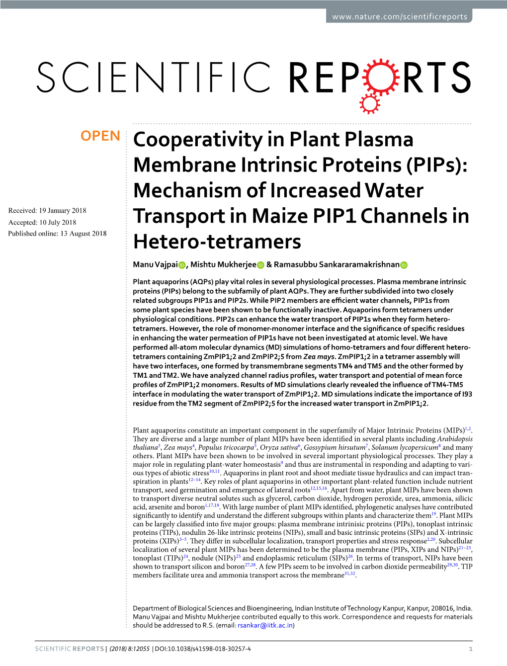 Cooperativity in Plant Plasma Membrane Intrinsic Proteins