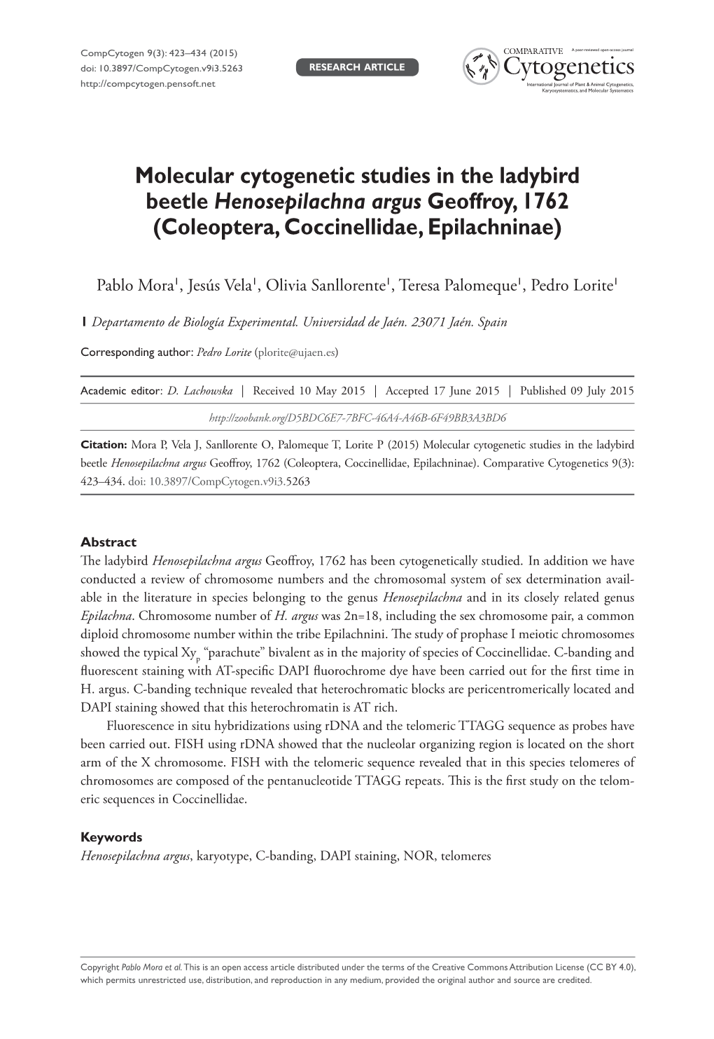 ﻿Molecular Cytogenetic Studies in the Ladybird Beetle Henosepilachna Argus Geoffroy, 1762 (Coleoptera, Coccinellidae, Epilachn