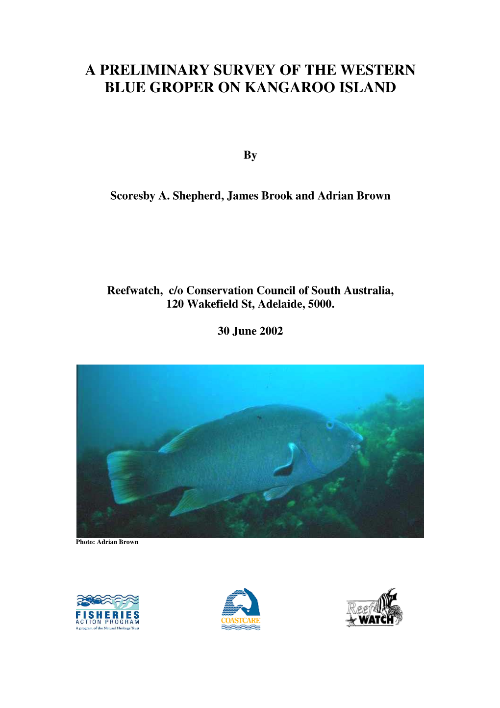 A Preliminary Survey of the Western Blue Groper on Kangaroo Island