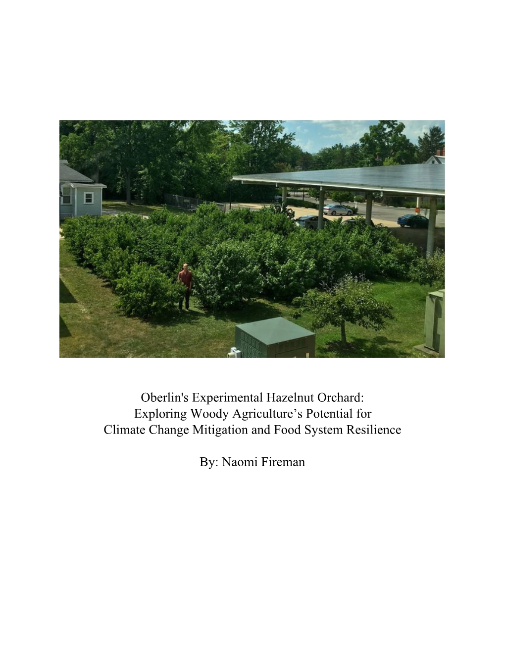 Oberlin's Experimental Hazelnut Orchard: Exploring Woody Agriculture’S Potential for Climate Change Mitigation and Food System Resilience