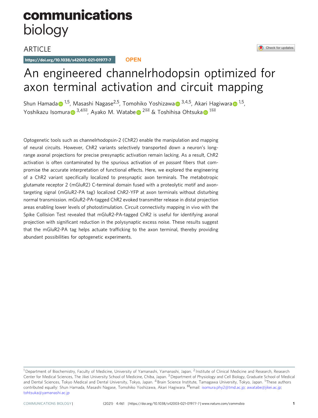 An Engineered Channelrhodopsin Optimized for Axon Terminal Activation and Circuit Mapping