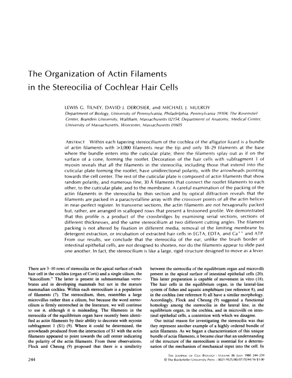 The Organization of Actin Filaments in the Stereocilia of Cochlear Hair Cells