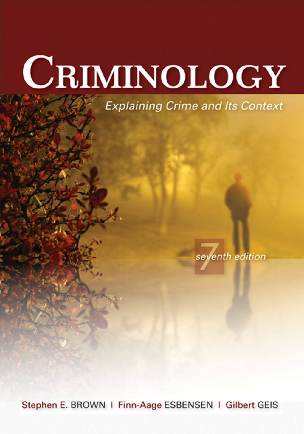 CRIMINOLOGY Explaining Crime and Its Context