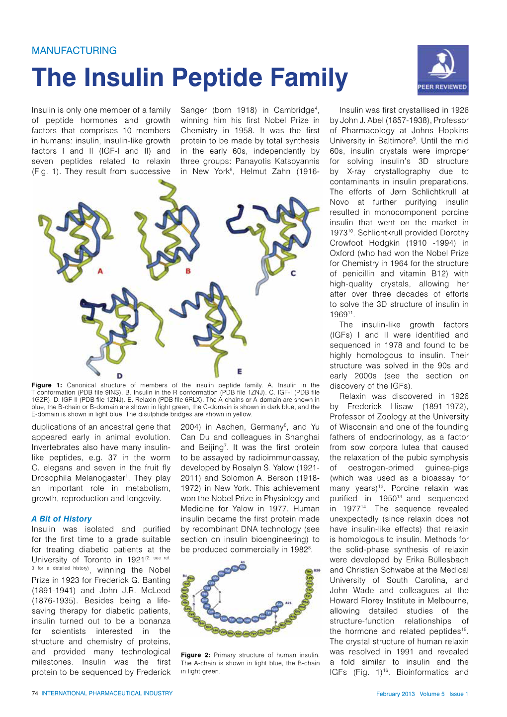 The Insulin Peptide Family