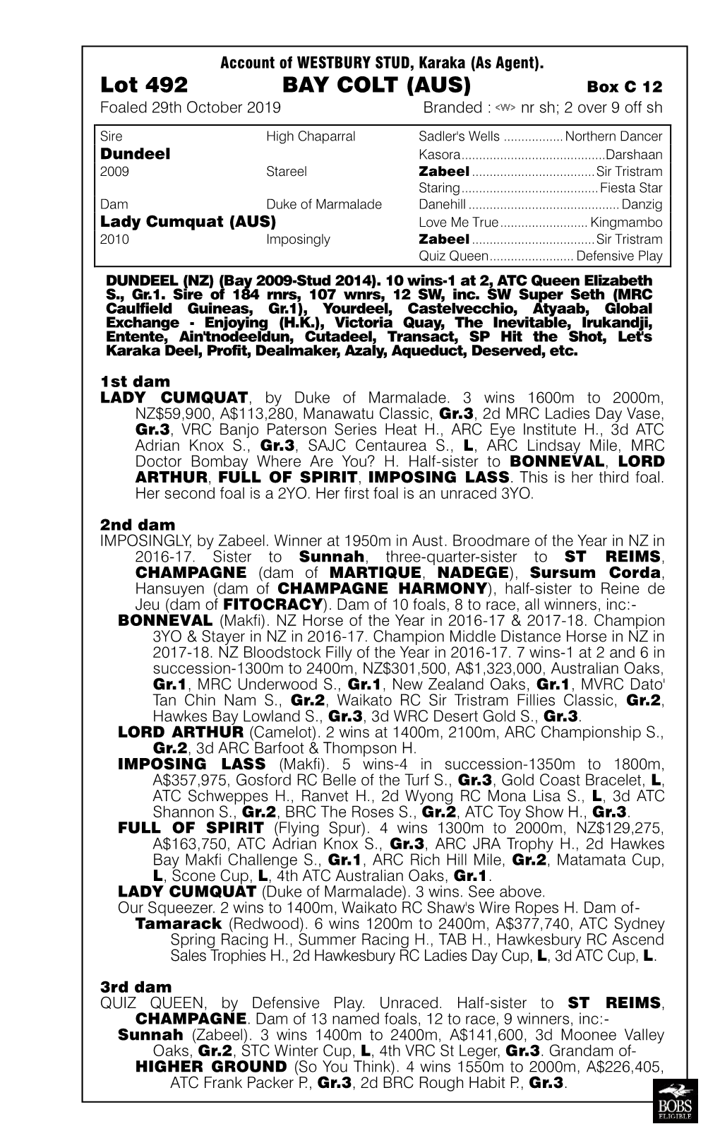 Lot 492 BAY COLT (AUS) Box C 12 Foaled 29Th October 2019 Branded : Nr Sh; 2 Over 9 Off Sh